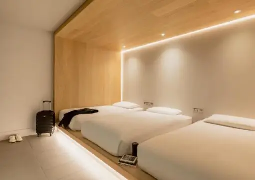 Cocoon 3
