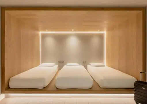 Cocoon 3