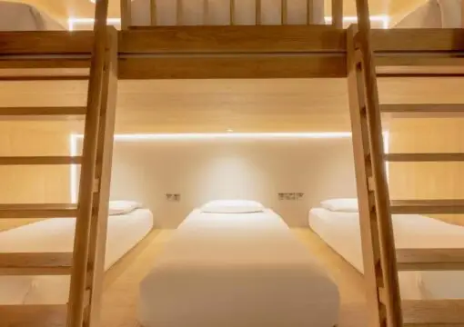 Cocoon 6