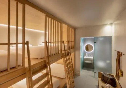 Cocoon 4