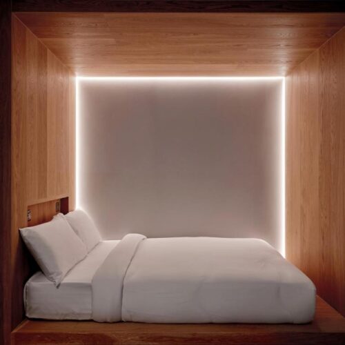 Cocoon 2