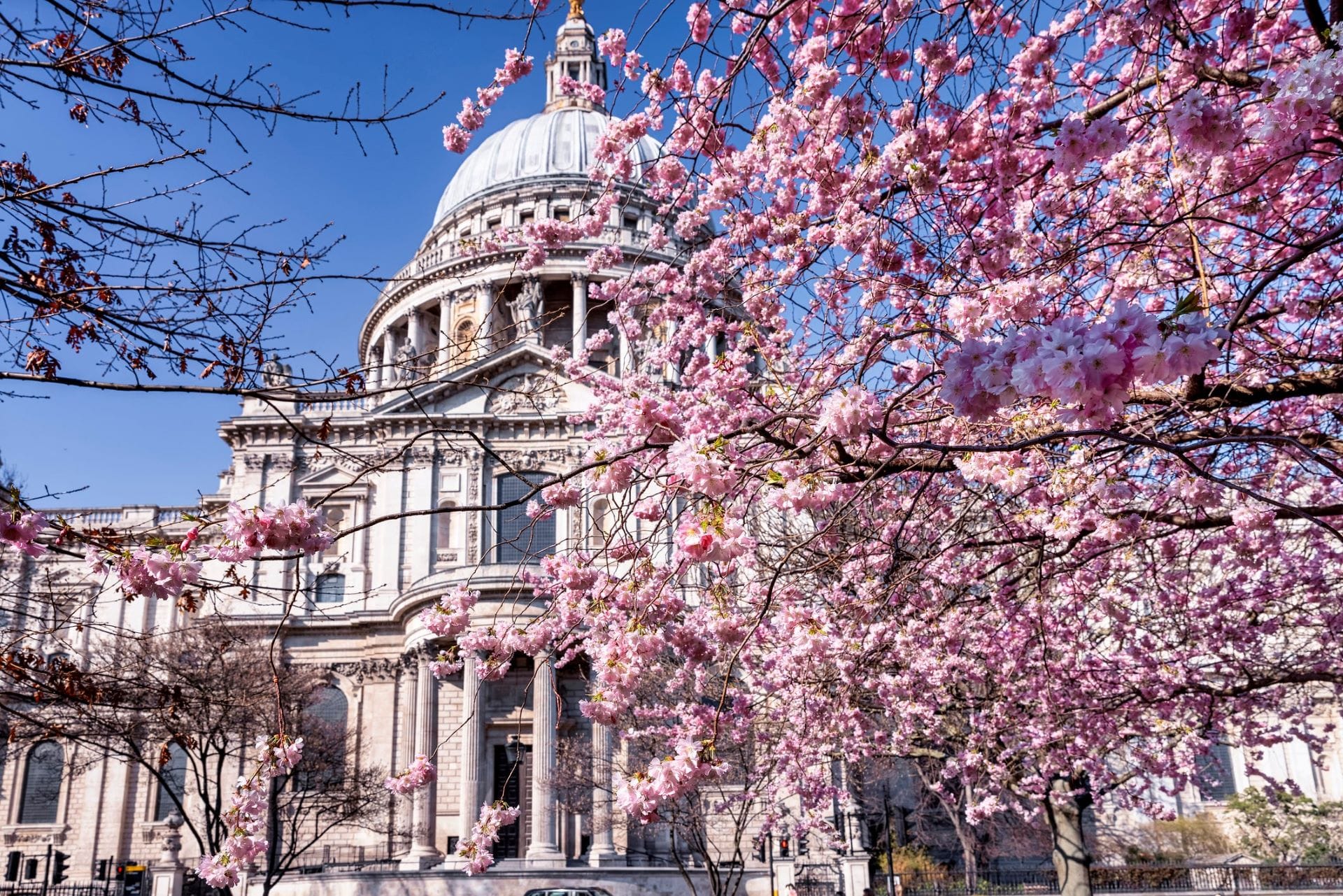 Spring in London: Blossoms, Parks, and Perfect Weather